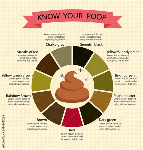 Understanding the Significance of Stool Color