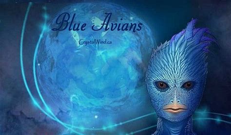 Understanding the Spiritual Significance of Ivory Avians Appearing in Your Dreams