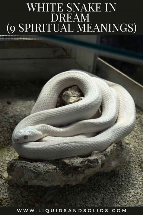 Understanding the Spiritual Symbolism of a White Snake Dream