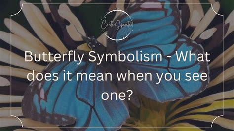 Understanding the Subliminal Symbolism of Butterfly Assaults in Dreams: Unveiling Deep-seated Fears