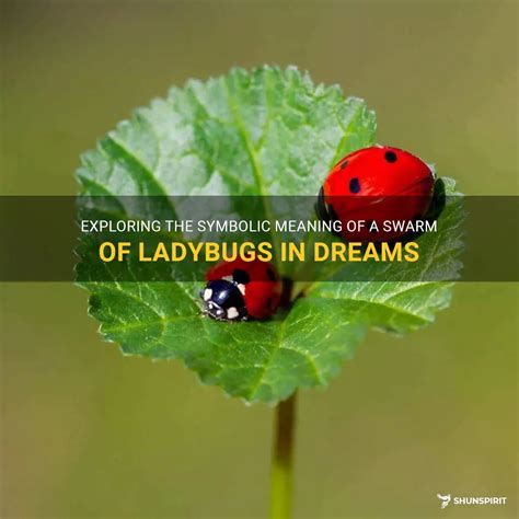 Understanding the Symbolic Meaning of "Ladybugs" in Dreams