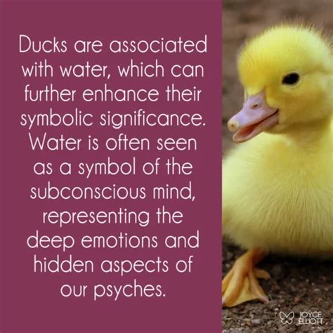 Understanding the Symbolic Transformation of a Duck