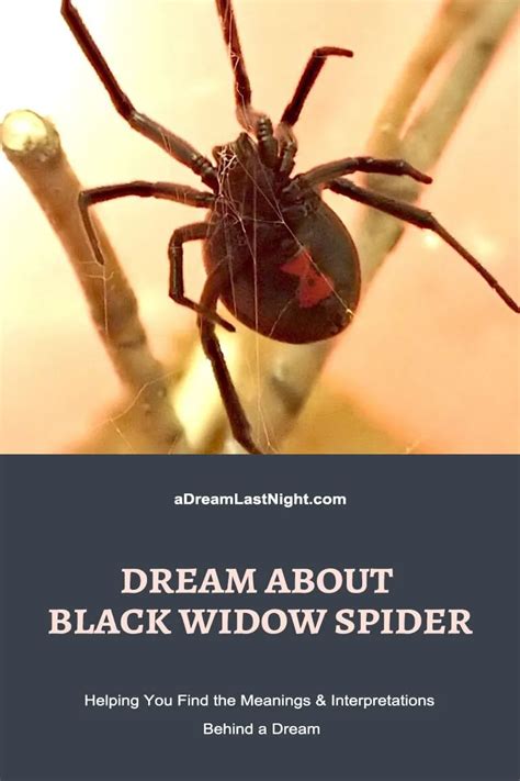 Understanding the Symbolism: Decoding the Significance of Black Widow Bites in Dreams