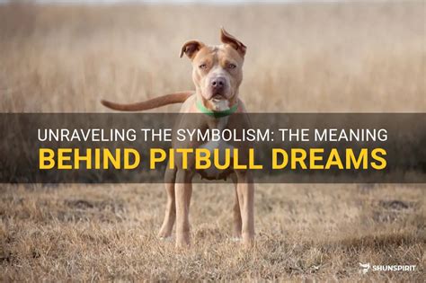 Understanding the Symbolism Behind Encountering a Pitbull in Your Dream