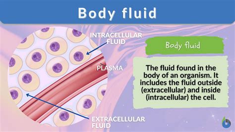 Understanding the Symbolism of Life's Vital Fluid