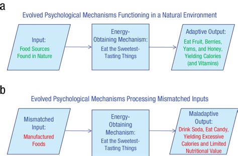 Understanding the Underlying Psychological Mechanisms Behind Lucid Imaginations of Prolonged Suffering