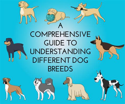 Understanding the Various Canine Breeds within the Realm of Dreams