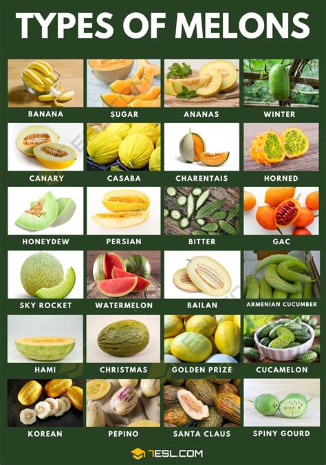 Understanding the Various Varieties of Melons