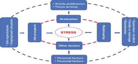 Understanding the underlying factors contributing to the stress associated with underperformance