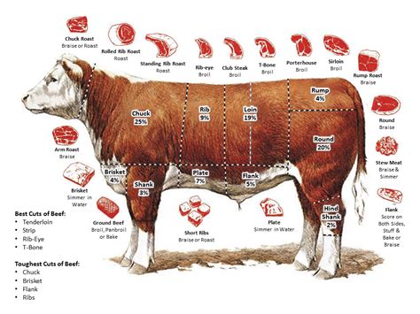 Understanding the various cuts of meat for a delectable roast