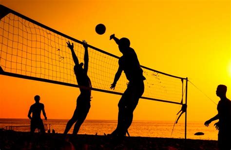 Unearthing Your Love for Volleyball