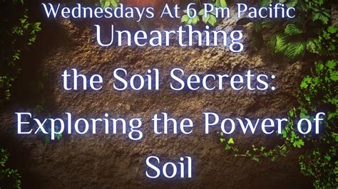 Unearthing the Untold Stories of Soil: A Journey into the Depths