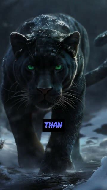 Unleashing Your Inner Panther: The Journey to Self-Discovery