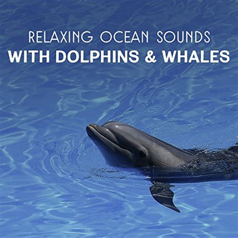 Unleashing the Healing Potential of Dolphin Melodies