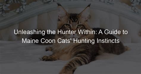 Unleashing the Hunter's Instinct: The Predatory Behaviors of Majestic Feline Species