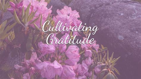 Unlocking the Deeper Meaning: Gratitude and Connection