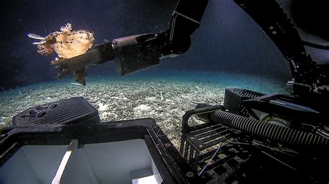 Unlocking the Enigma of Deep Sea Exploration