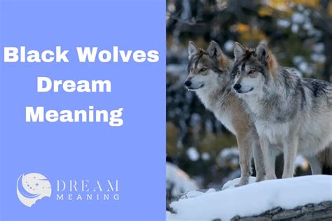 Unlocking the Enigma of Wolf Dreams