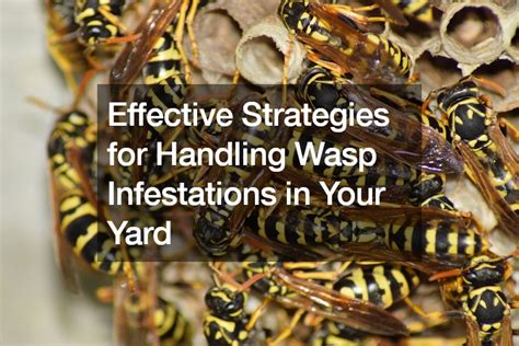 Unlocking the Potential of Wasp Dream Experiences: Effective Strategies for Harnessing their Power