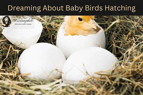 Unlocking the Significance of Birds Hatching in One's Dreams