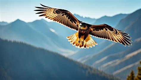 Unlocking the Significance of Hawk Symbolism in Your Everyday Life