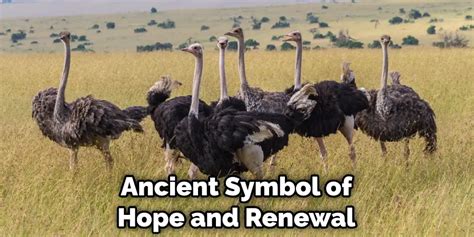 Unlocking the Symbolism of Ostriches: A Journey into Ancient Cultures