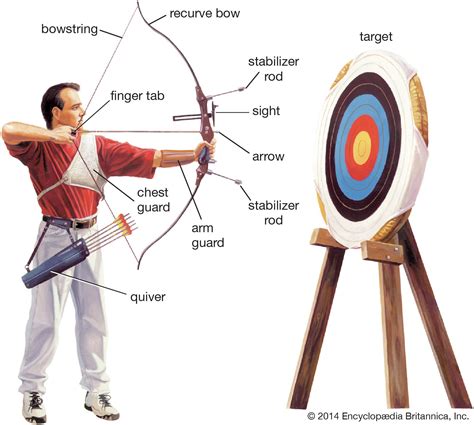 Unloosening the Origins of Dreams about Becoming a Target for Arrows