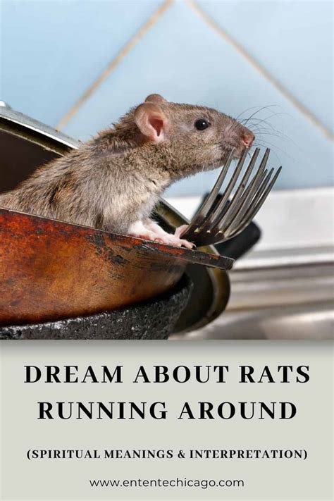 Unmasking the Deeper Psychological Interpretations of Dreaming of Rats