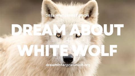 Unmasking the Wolf: Exploring its Symbolic Significance in Dreams