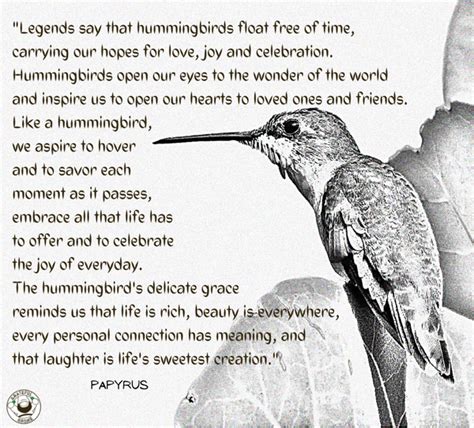 Unraveling the Folklore and Legends Surrounding Hummingbirds