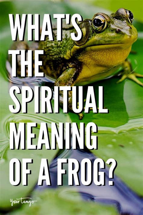 Unraveling the Hidden Significance Behind Repeatedly Envisioned Frog Pursuit