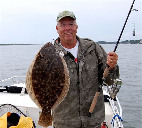 Unraveling the Importance of Fish Floundering Beyond the Aquatic Realm