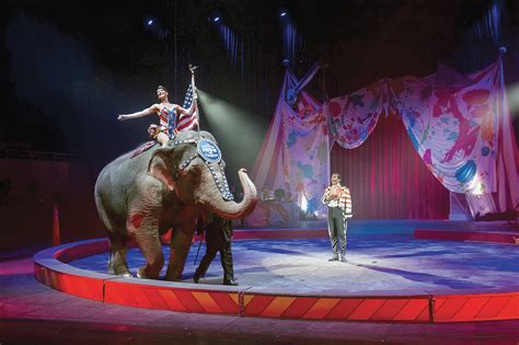 Unraveling the Intense Emotional Impact of Eliminating Circus Performers