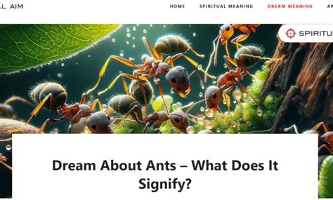 Unraveling the Significance of Ant Dreams