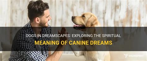 Unraveling the Significance of Canine Excrement in Dreamscapes