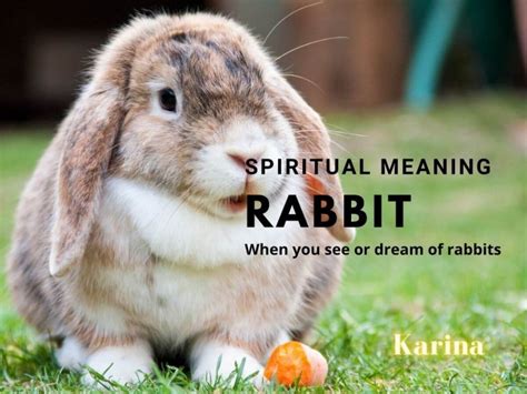 Unraveling the Significance of Rabbits in Dream Interpretation