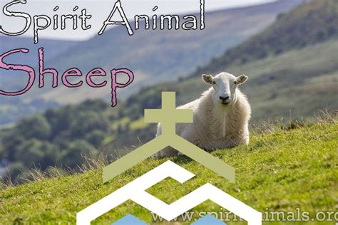 Unraveling the Significance of Sheep in the Realm of Dreams