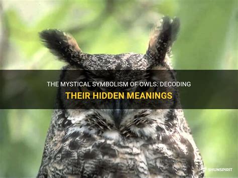 Unraveling the Symbolic Significance of the Owl