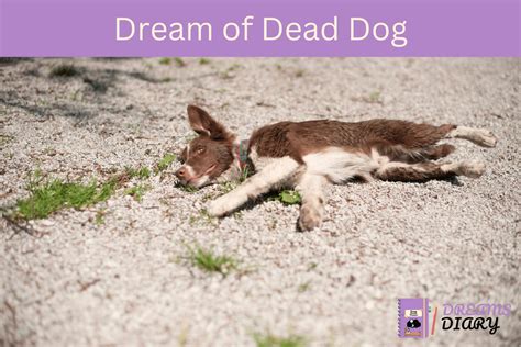 Unraveling the Symbolism of Dreams featuring Canine Injuries