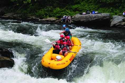 Untamed Beauty: Discovering the Wonders of Rapids