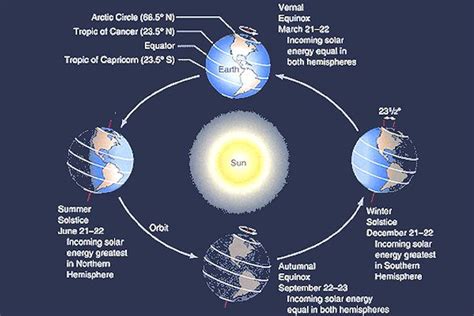 Unveiling Colleen Ahe's Years: How Many Revolutions Around The Sun Has She Witnessed?