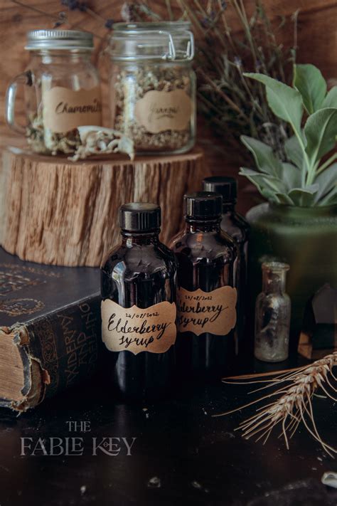 Unveiling Nature's Apothecary: The Healing Potential of Fungi