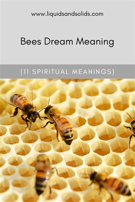 Unveiling the Concealed Messages in Dreams of Eradicating Bees