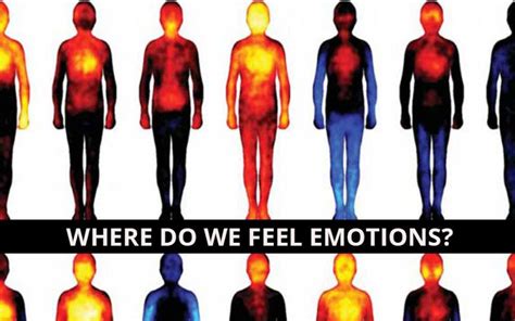 Unveiling the Connection between Heat and Emotions