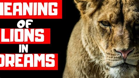 Unveiling the Cryptic Significations and Communications of Lion Dreams