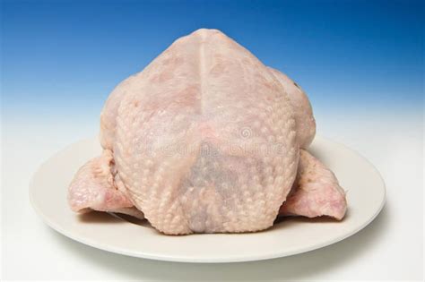 Unveiling the Deep Significance of Uncooked Poultry Phantasms