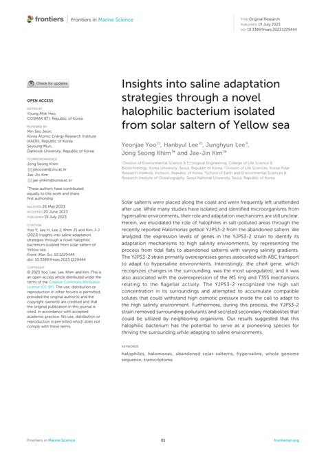 Unveiling the Deeper Significance: Contemporary Insights into Saline Reveries