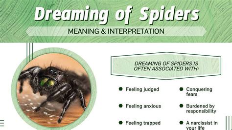 Unveiling the Deeper Significance and Messages in Spider Dreams