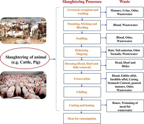 Unveiling the Depths of the Mind: Exploring the Connection between Imagining Slaughtering a Bovine and Personal Development