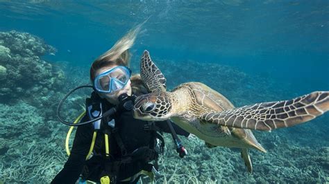 Unveiling the Diverse Wonders of Marine Life